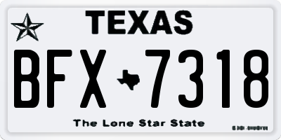 TX license plate BFX7318