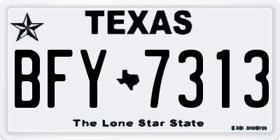 TX license plate BFY7313
