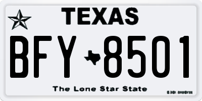 TX license plate BFY8501