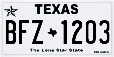 TX license plate BFZ1203