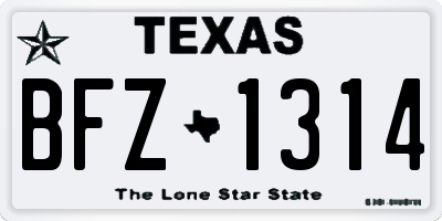 TX license plate BFZ1314