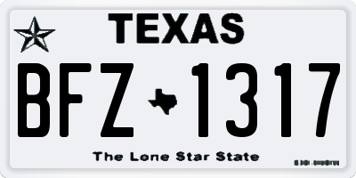 TX license plate BFZ1317