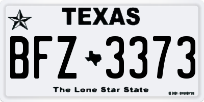 TX license plate BFZ3373
