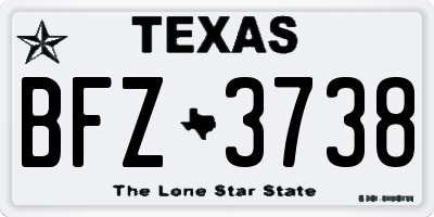 TX license plate BFZ3738