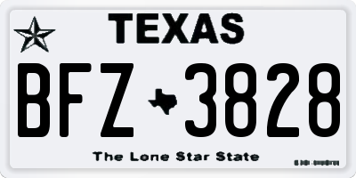 TX license plate BFZ3828