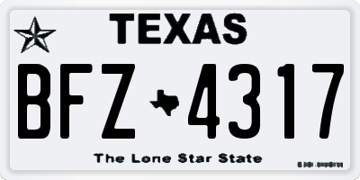 TX license plate BFZ4317