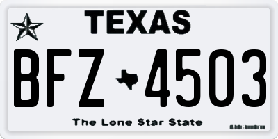 TX license plate BFZ4503