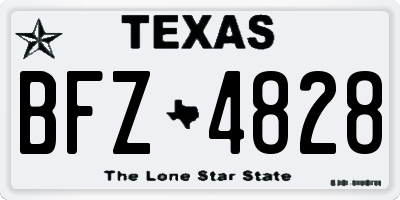 TX license plate BFZ4828
