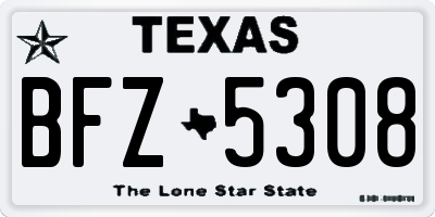 TX license plate BFZ5308
