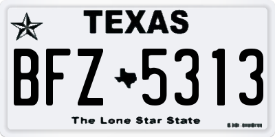 TX license plate BFZ5313