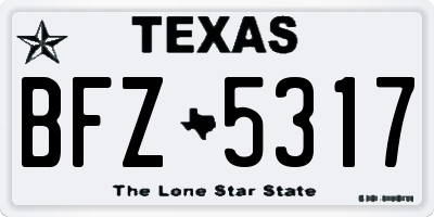 TX license plate BFZ5317