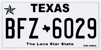 TX license plate BFZ6029