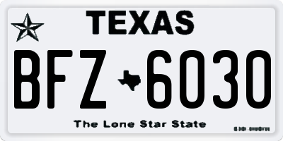 TX license plate BFZ6030