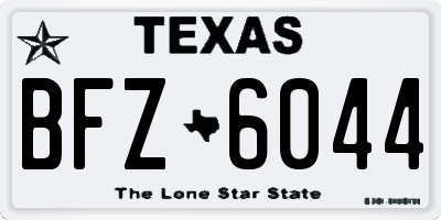 TX license plate BFZ6044