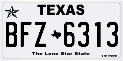 TX license plate BFZ6313