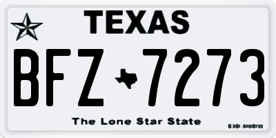 TX license plate BFZ7273