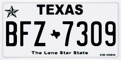 TX license plate BFZ7309