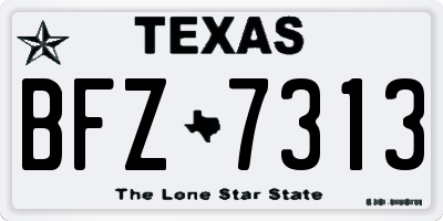 TX license plate BFZ7313