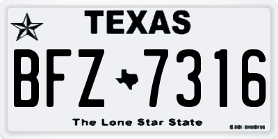 TX license plate BFZ7316