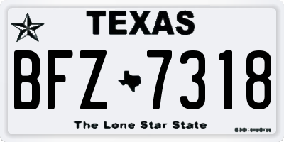 TX license plate BFZ7318