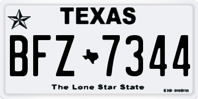 TX license plate BFZ7344