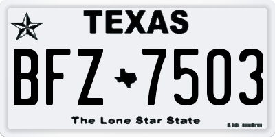 TX license plate BFZ7503