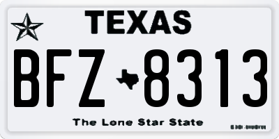 TX license plate BFZ8313