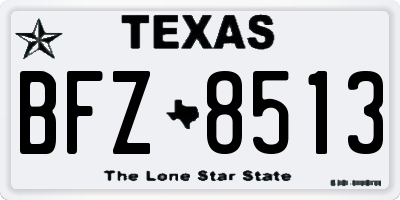 TX license plate BFZ8513