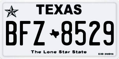 TX license plate BFZ8529