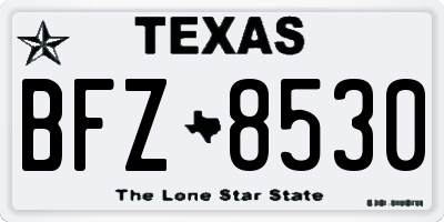 TX license plate BFZ8530