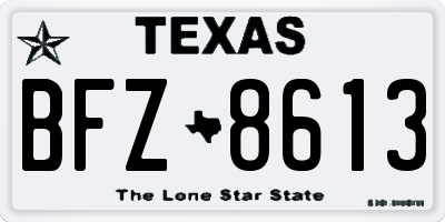 TX license plate BFZ8613