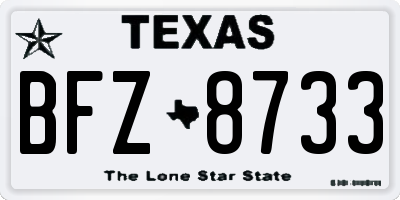 TX license plate BFZ8733