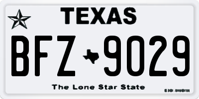 TX license plate BFZ9029
