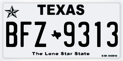 TX license plate BFZ9313