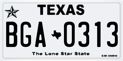 TX license plate BGA0313