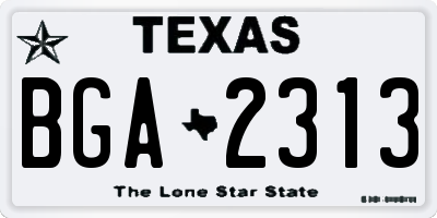TX license plate BGA2313
