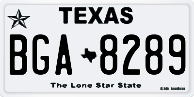 TX license plate BGA8289