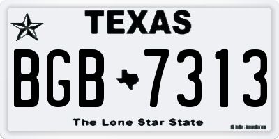 TX license plate BGB7313