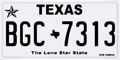 TX license plate BGC7313