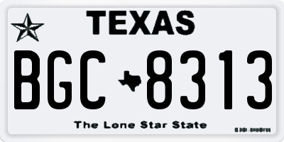 TX license plate BGC8313