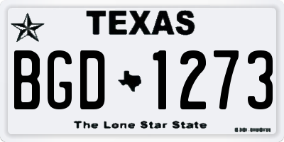 TX license plate BGD1273