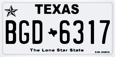 TX license plate BGD6317