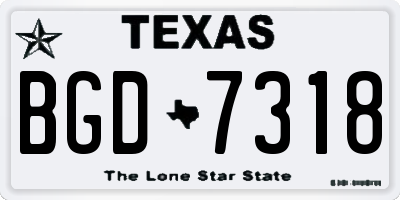 TX license plate BGD7318