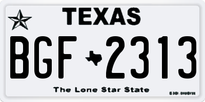 TX license plate BGF2313