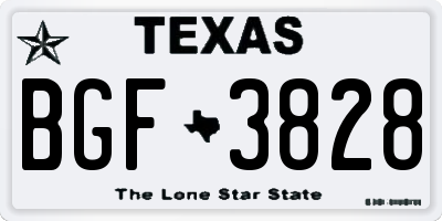 TX license plate BGF3828