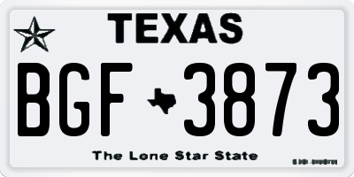 TX license plate BGF3873