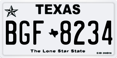 TX license plate BGF8234