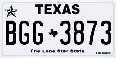 TX license plate BGG3873