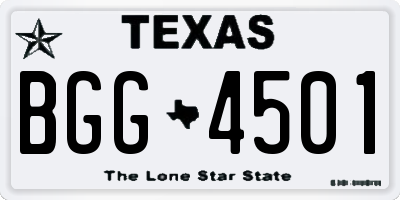 TX license plate BGG4501