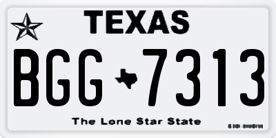 TX license plate BGG7313